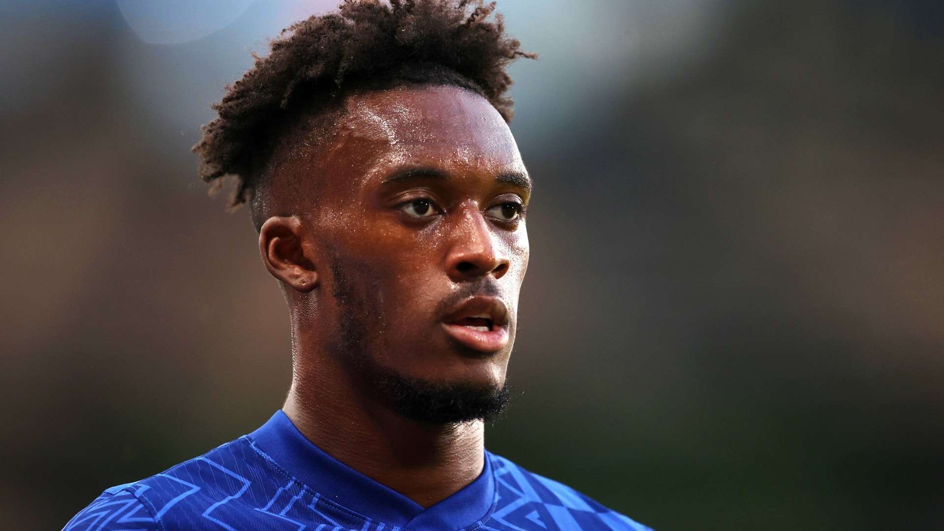 但他们也拥 但他们也拥