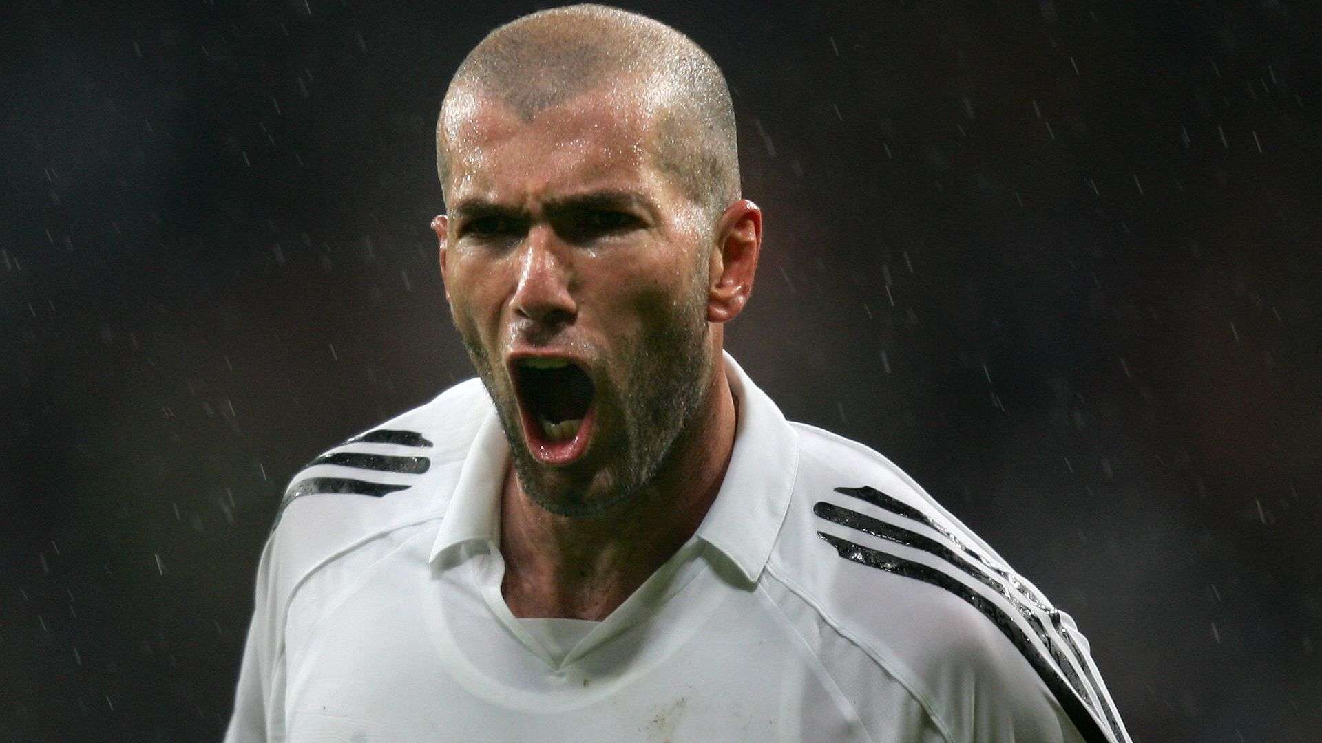 充分研究了 充分研究了